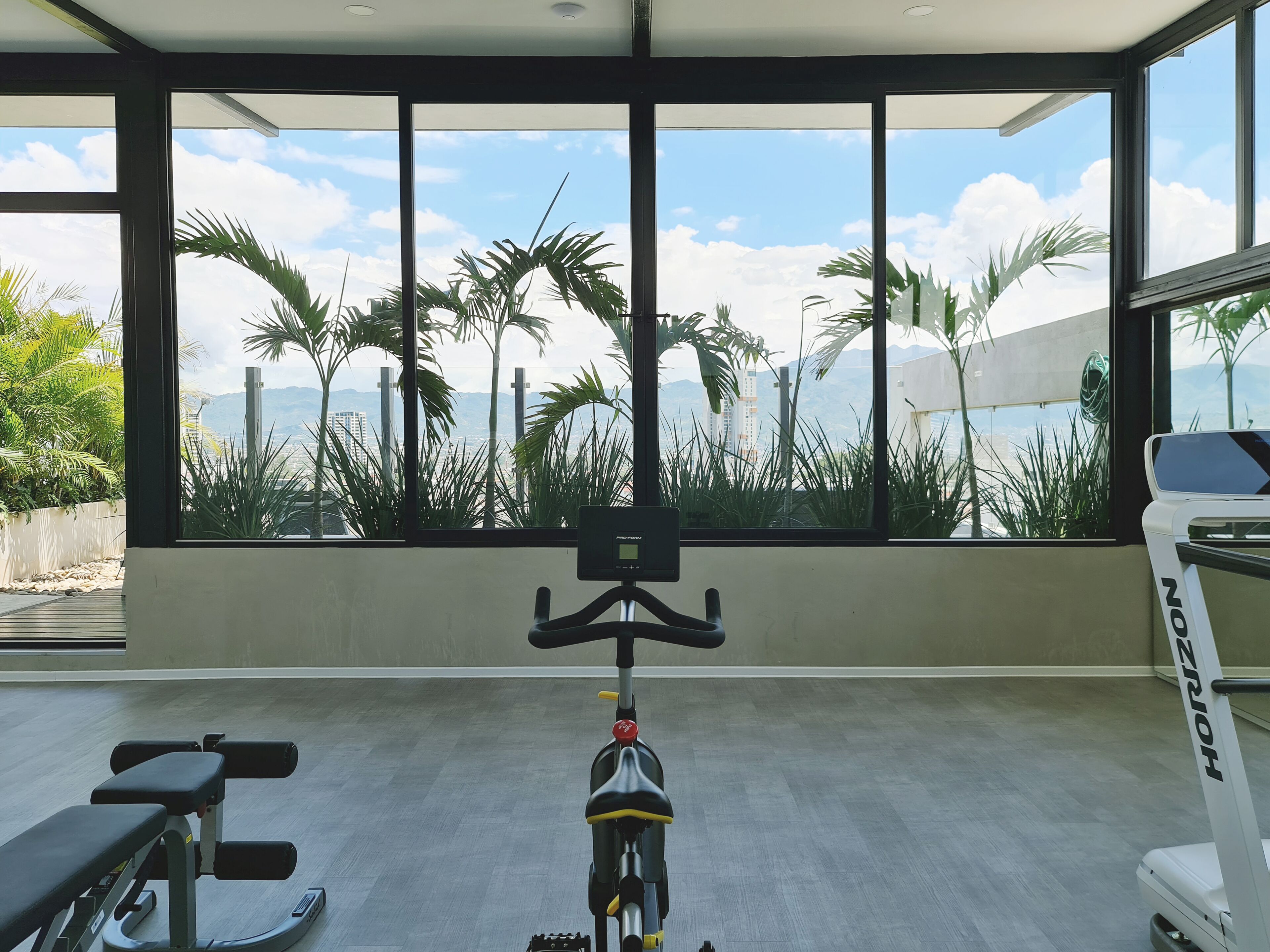 A gym with a stationary bike, a bench, and a rowing machine. It has large windows with a view of palm trees and buildings.