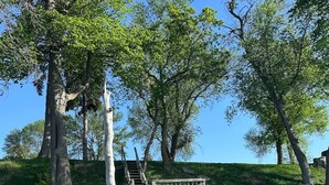 Une jetée en béton mène à une plateforme en bois dotée d’un escalier, le tout étant entouré d’arbres et bordé par une étendue d’eau calme.
