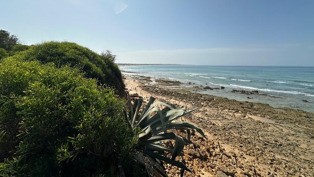 Beach - Punto Mágico, apartamento con jardín (Chiclana de la Frontera)