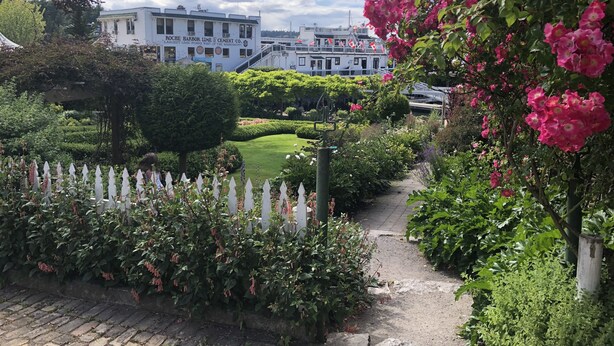 A garden pathway leading to a white building with a sign reading "Roche Harbor Lime & Cement Co." - Warm and Bright in the Heart of Downtown Friday Harbor (Friday Harbor)