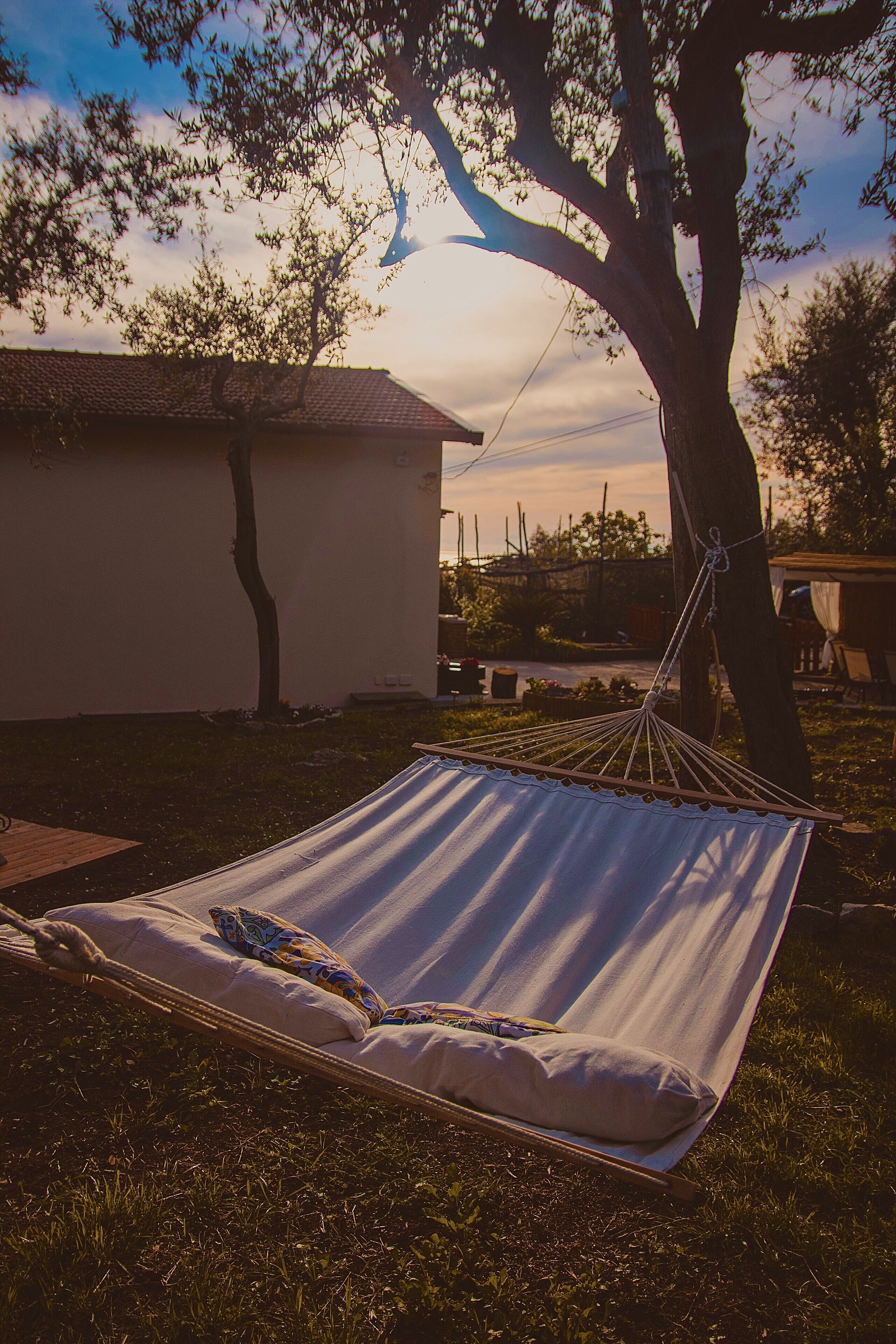 A hammock tied between two trees in a grassy area with a building in the background.