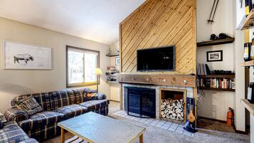 Een televisie, een open haard, een dvd-speler en een filmbibliotheek