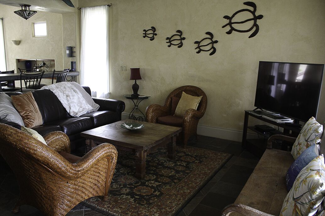 Smart TV, offices, printers