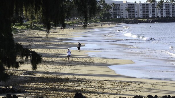A beach with a person walking, palm trees, and a building in the background.
