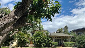 A residential area with a large tree, well-maintained lawn, and houses with a tropical garden.