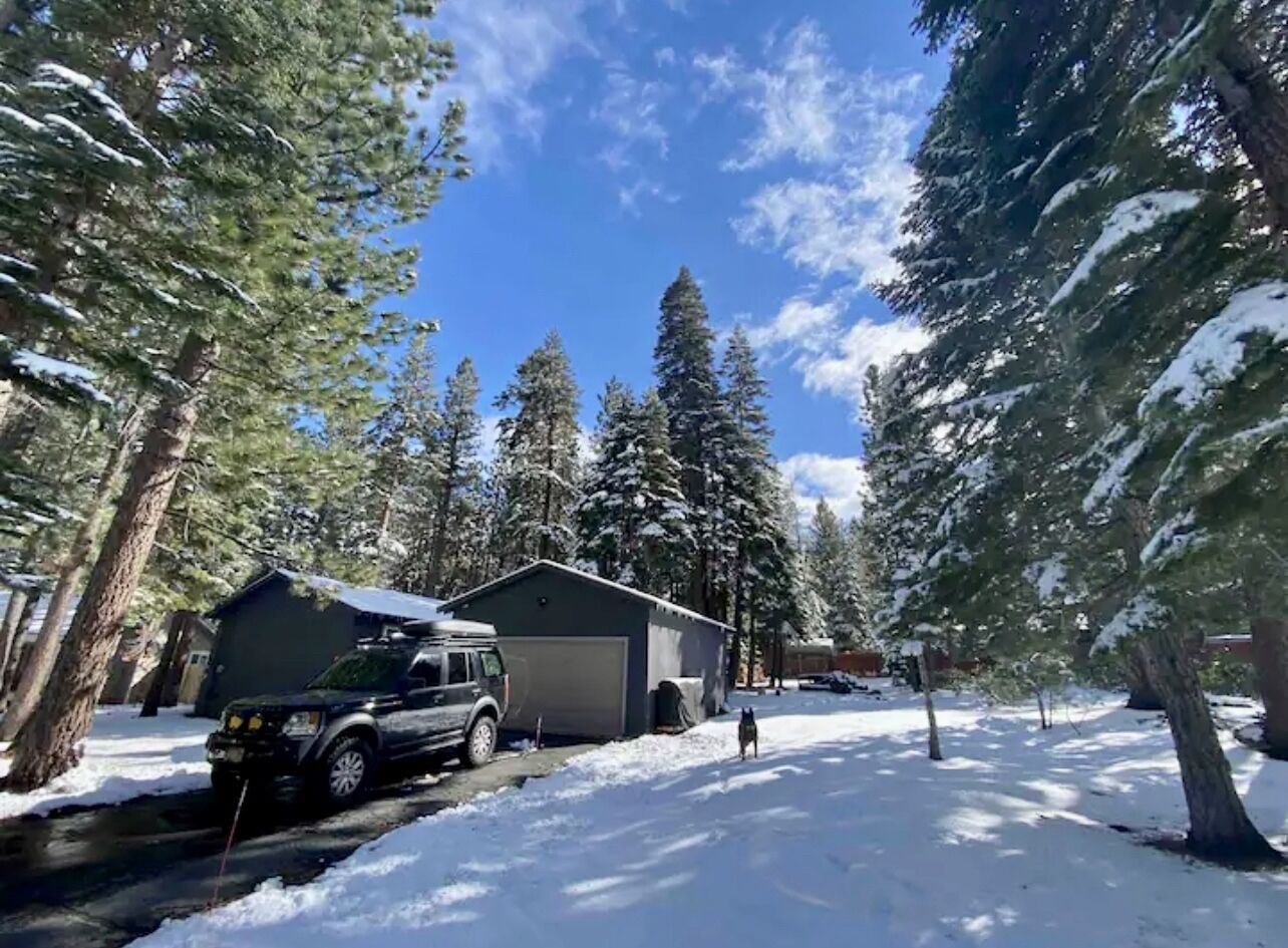 Base Camp Kiowa: cozy, dog-friendly, modern mountain cabin