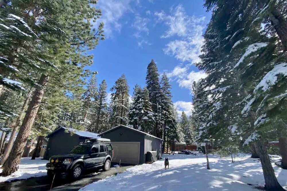 Base Camp Kiowa: cozy, dog-friendly, modern mountain cabin