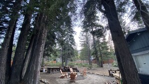 A forested area with a dirt ground, wooden chairs, a table, and a building with a white exterior.