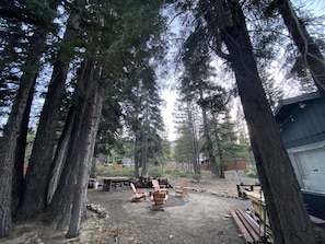 Property grounds - Base Camp Kiowa: cozy, dog-friendly, modern mountain cabin (South Lake Tahoe)