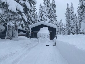 A snow-covered path leading to a building with a dark roof and a visible door.