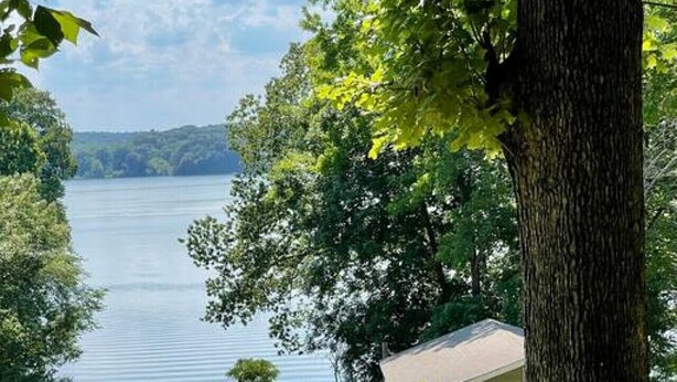 Zwei grüne Adirondack-Stühle mit Blick auf einen See, im Hintergrund ein Haus.