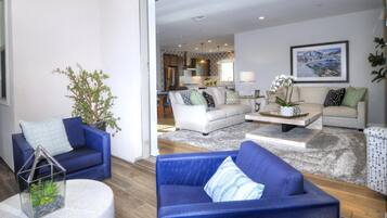 Smart TV, fireplace, video games, DVD player