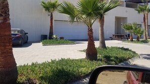 A parking area with palm trees and a building in the background.