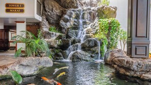 A waterfall feature with koi fish in a pool, surrounded by rocks and greenery. - High-floor retreat w/ ocean views & beach gear (Honolulu)