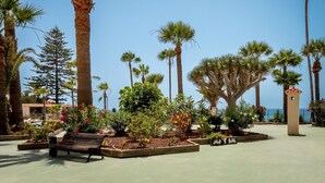Ein angelegter Garten mit Palmen, Bänken und verschiedenen Pflanzen.