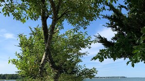 Un espace de détente aménagé au bord du lac, avec des fauteuils en osier et un matelas, entouré d’arbres et de galets.
