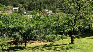 A vineyard with rows of grapevines and a few houses in the background. - Cozy vacation home in relaxing environments - Sokndal (Hauge I Dalane)
