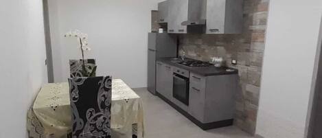 Fridge, oven, stovetop, cookware/dishes/utensils