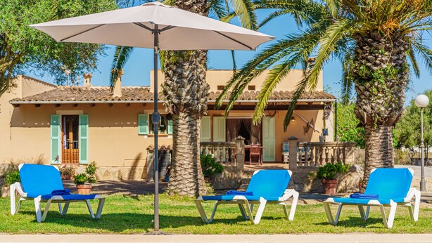A poolside area with lounge chairs and a palm tree. - Vacation Home Es Garballons with Garden, Wi-Fi, Pool & Terrace (Manacor)