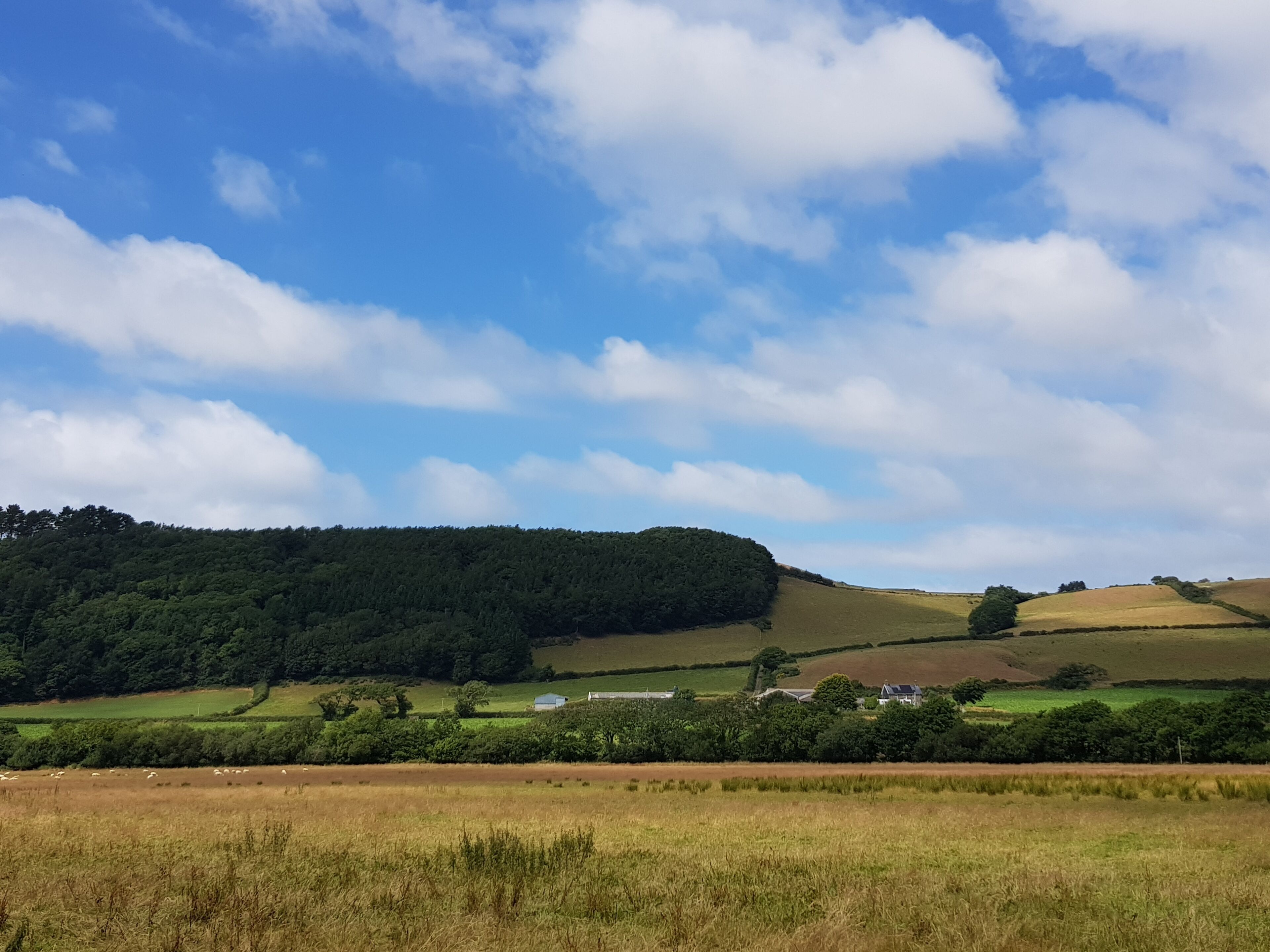 A rural landscape with rolling hills, a dense forest, and a clear blue sky with scattered clouds.