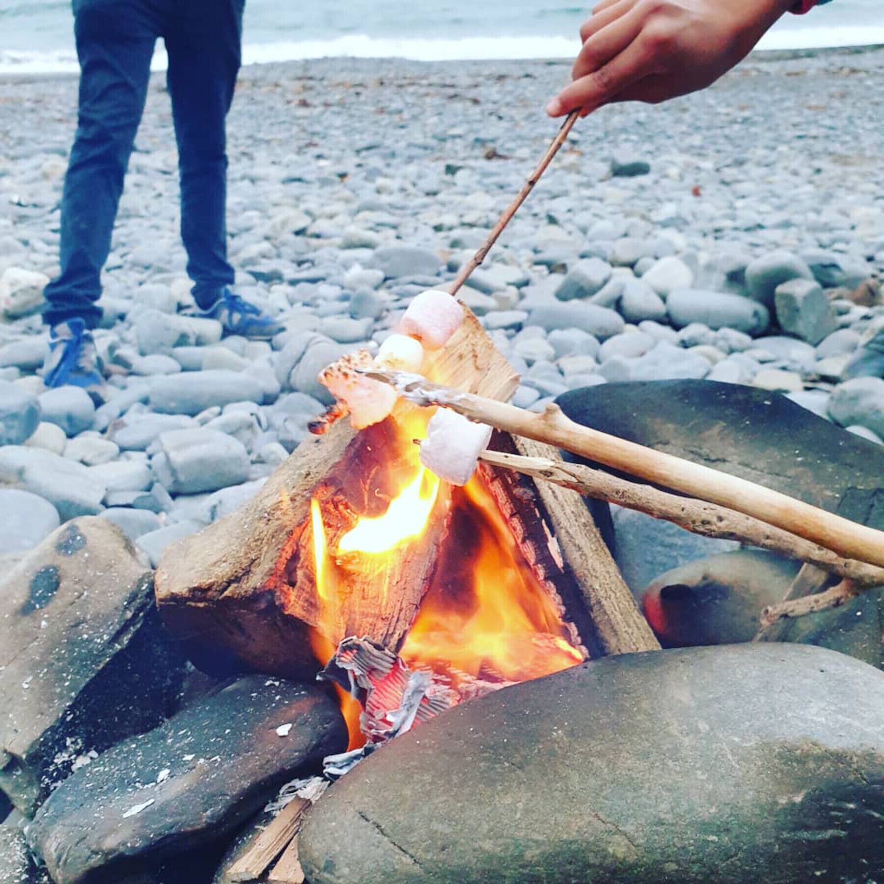 Ein Lagerfeuer, an dem Marshmallows auf Spießen geröstet werden.