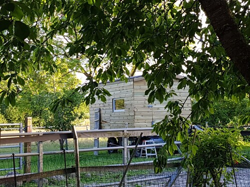 Ferienwohnung auf dem Trakehner Hof 