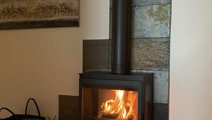 A wood-burning stove with a glass front, positioned against a stone wall.