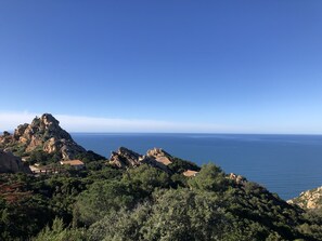 Paesaggio costiero con terreno roccioso, vegetazione rigogliosa e vista libera sul mare.