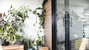 Unclassified image, 3 of 27, button - Cosy Apartment in Trendy Collingwood (Collingwood)