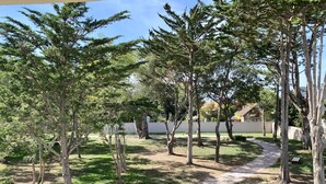 A park with a paved path, trees, and a bench.
