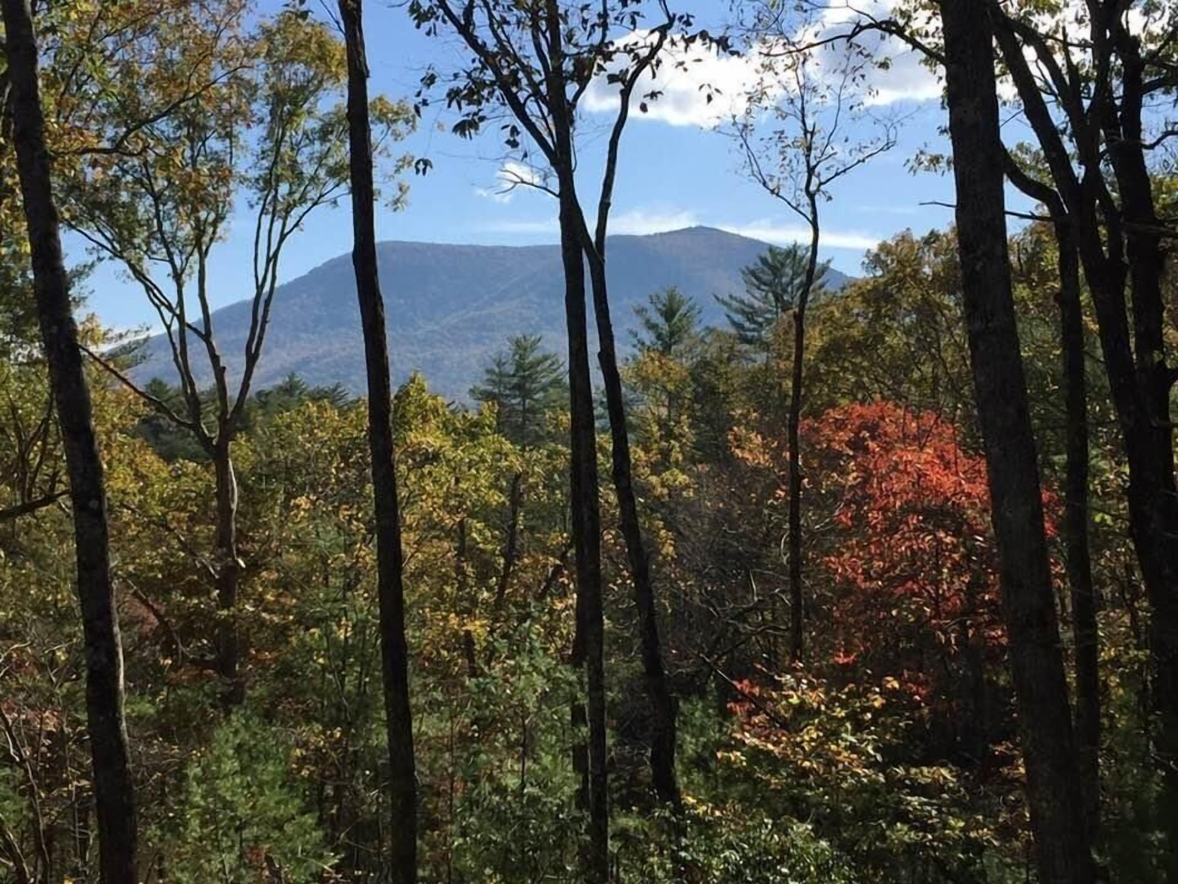 The Rusty Goat--Year-round Mountain View, King-sized bed, highspeed internet!