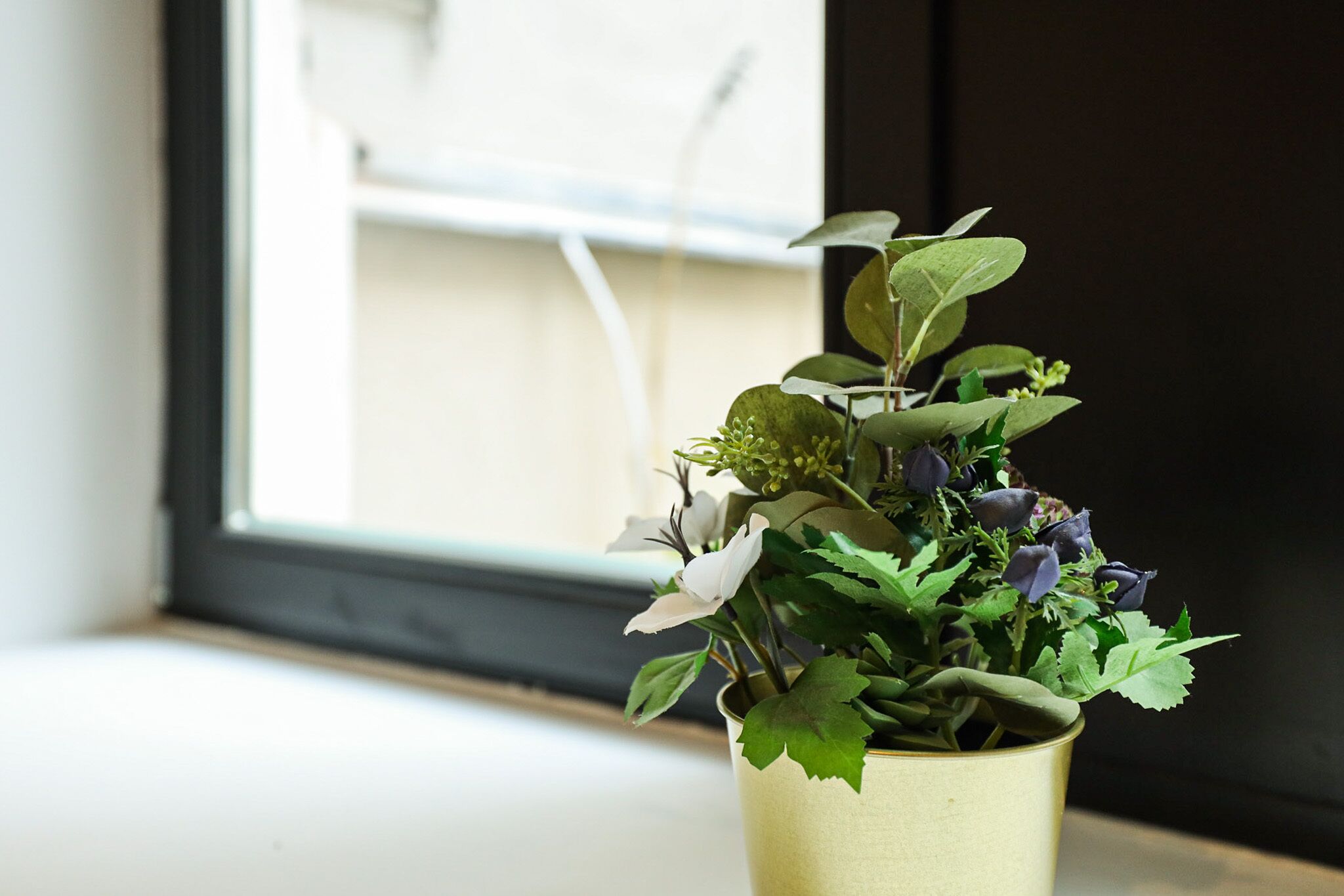 Una planta en test amb fulles i flors verdes sobre un davantal de finestra.