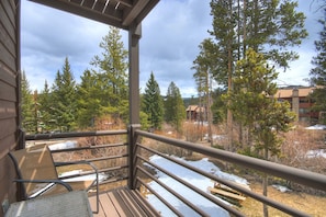 Property grounds - Truly stunning Wildwood Suites condo is a perfect mountain getaway. (Breckenridge)