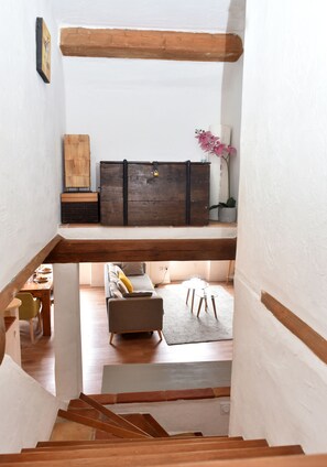 Smart TV, DVD player, books