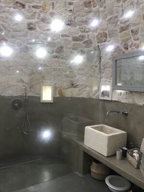 Shower, hair dryer, bidet, towels