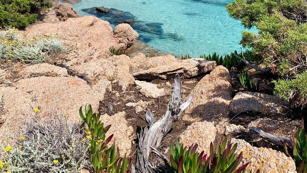 A coastal landscape with rocky terrain, clear blue waters, and sparse vegetation. - Appartement T3 de Standing - 2 Chambres 4/6 Personnes Porto Vecchio (Porto-Vecchio)
