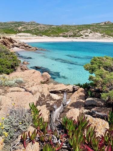 Appartement T3 4**** - 2 chambres 4/6 personnes Porto Vecchio