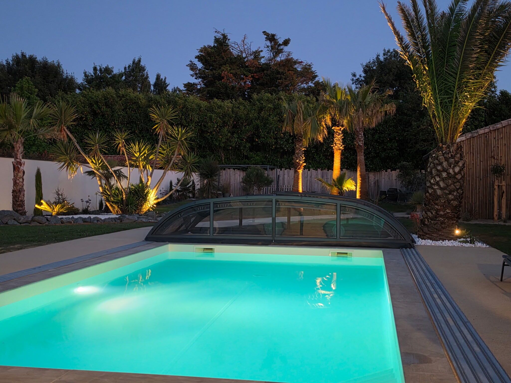 A swimming pool with a glass enclosure, surrounded by palm trees and a wooden fence.