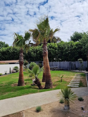 A well-maintained garden with palm trees, a stone pathway, and a wooden fence.