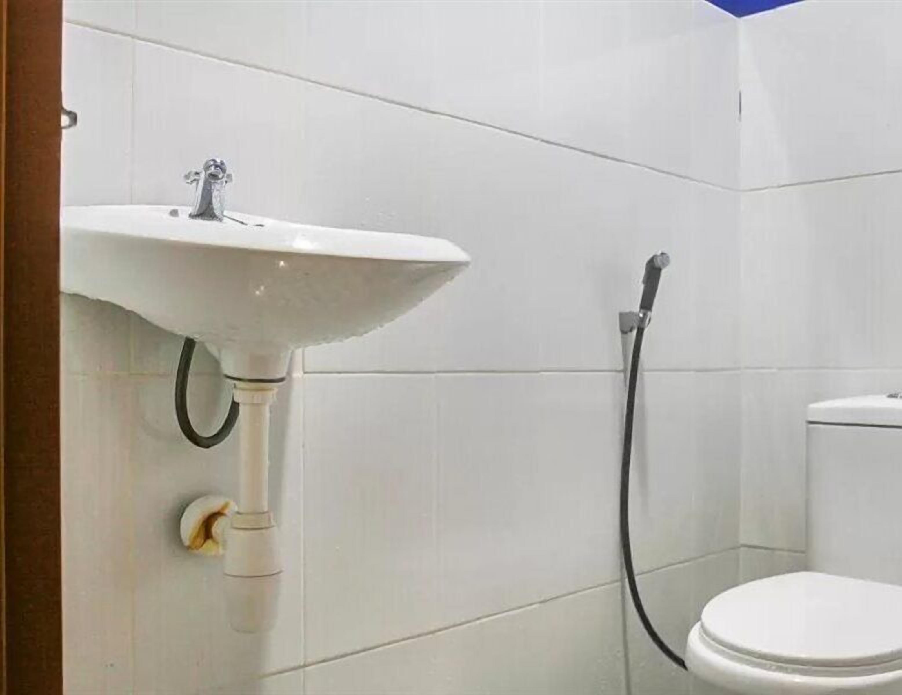 A bathroom with a white sink, a toilet, and a shower hose.