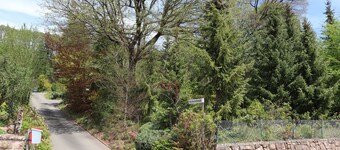 Forsthaus Zerbe / Espenschied, newly renovated with spacious garden