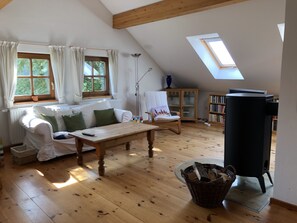 TV, fireplace, books, music library