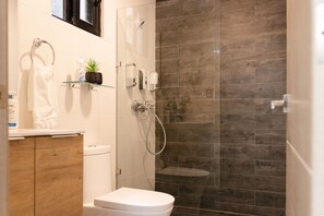 Combined shower/bathtub, hair dryer, towels, soap