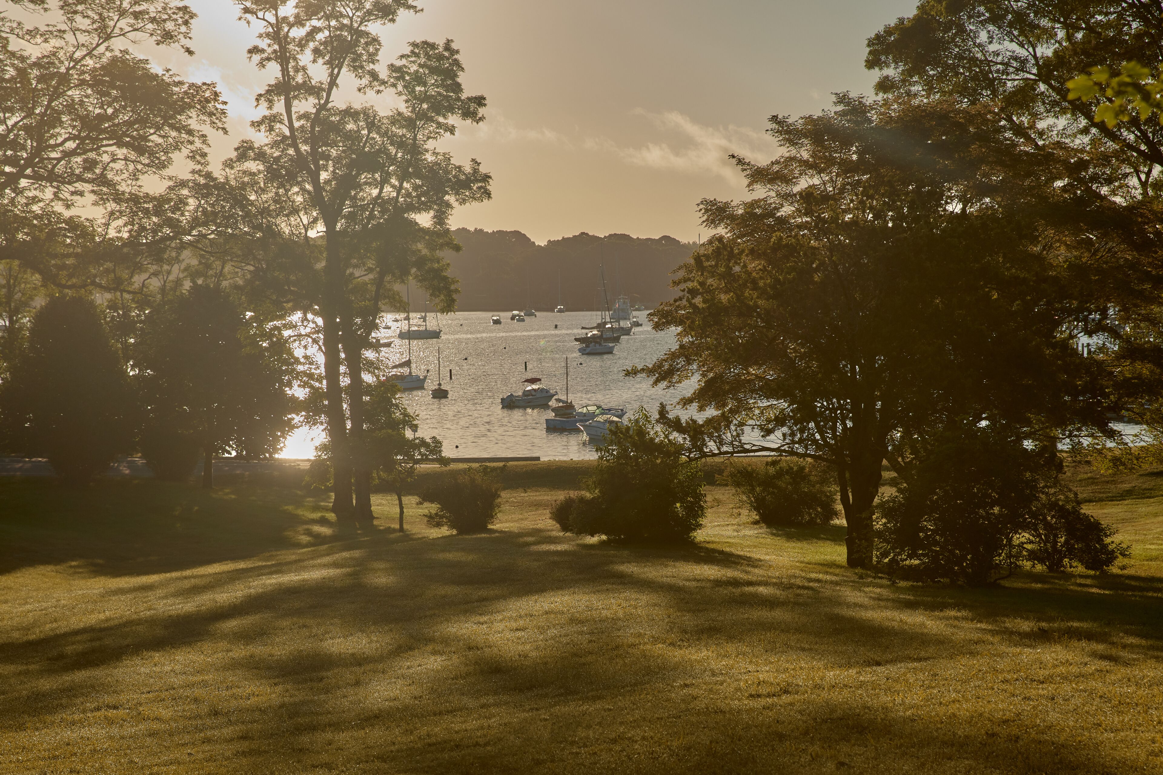 A marina with boats docked, surrounded by trees and grass.