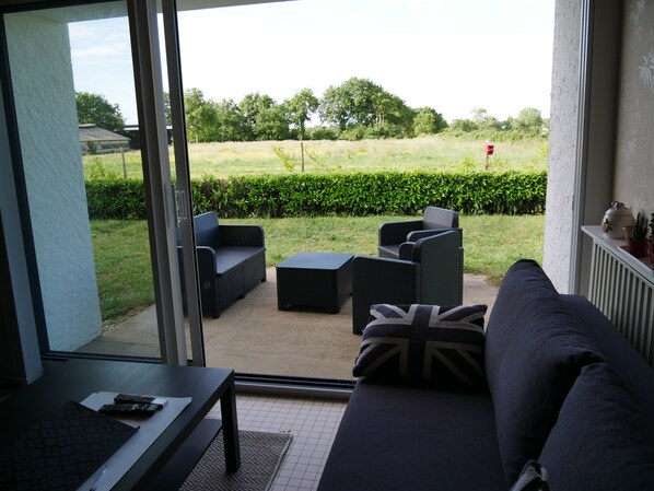 Smart TV, fireplace, DVD player, books