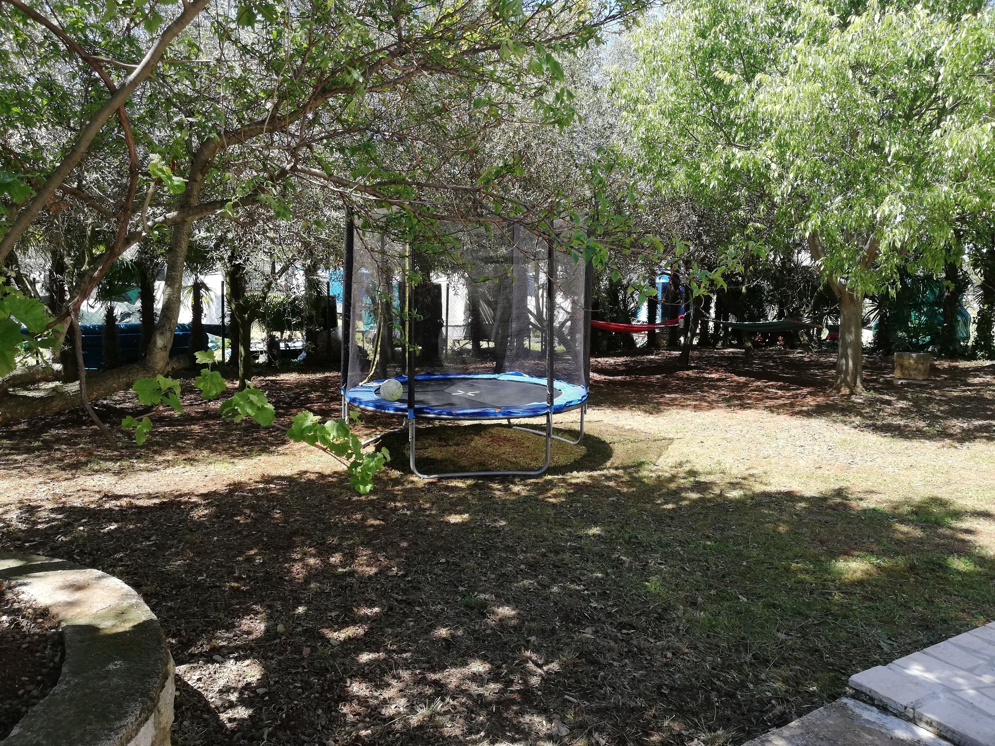 A trampoline in a shaded outdoor area with trees and a grassy ground.