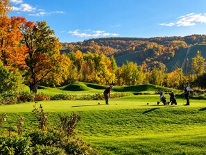 Un parcours de golf avec des collines douces et, en arrière-plan, le feuillage automnal.