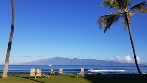 Ein Strand mit Liegestühlen, Palmen und Blick auf das Meer und die Berge.
