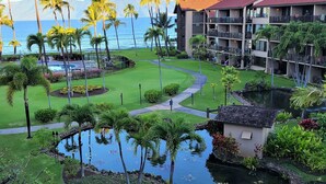 Ein Resort mit Pool, Palmen und Meerblick.