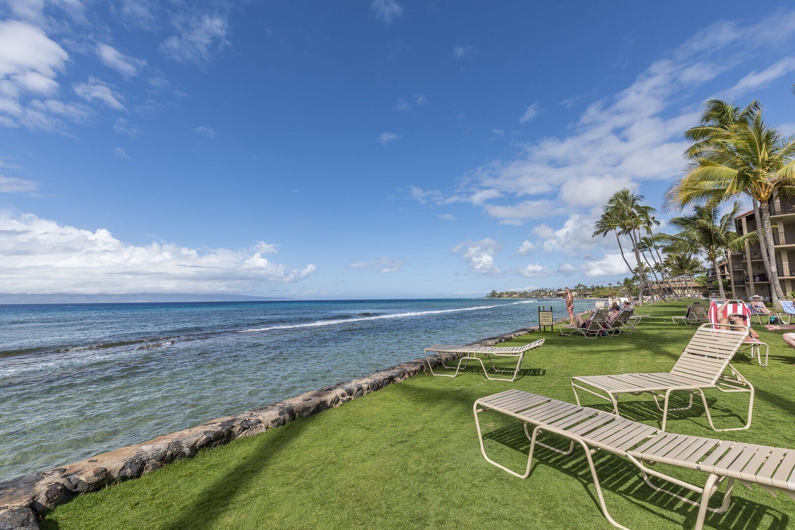 A beachside resort with a grassy area, lounge chairs, and palm trees.